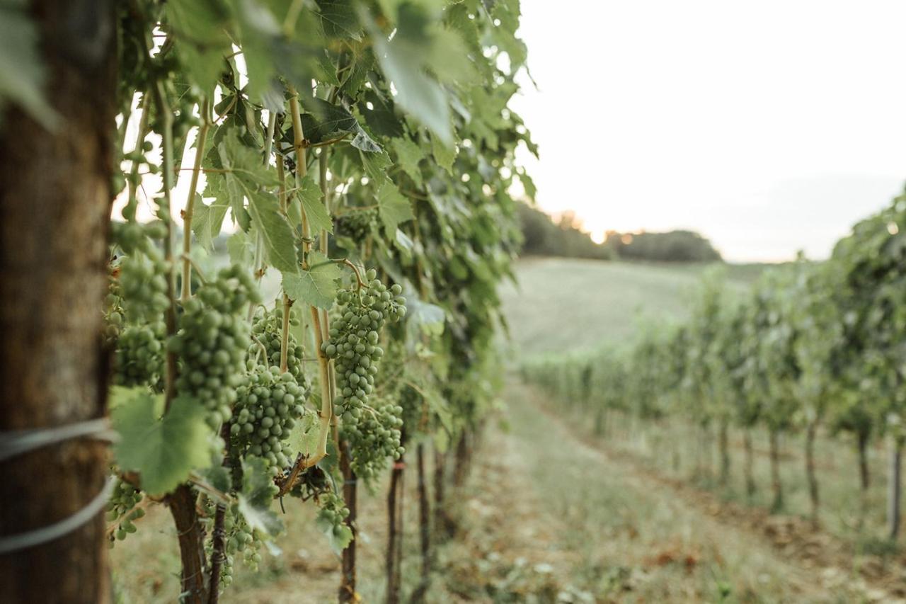 Perelli Winery Villa Bucine Eksteriør bilde